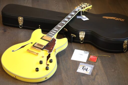 MINTY! D’Angelico Deluxe Series Limited Edition Double-Cut Semi-Hollow Guitar Electric Yellow + OHSC